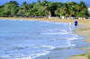 Occidental Grand Flamenco Puerto Plata 